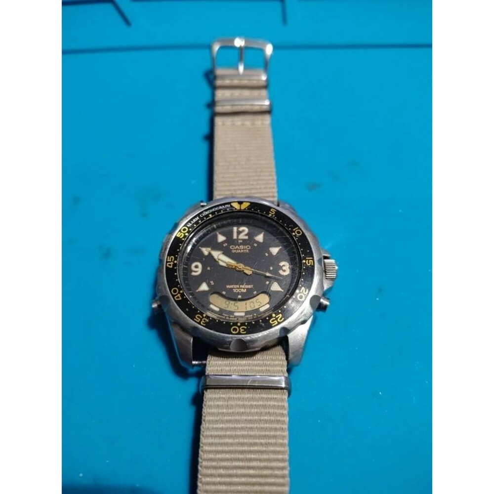 Casio "Arnie"